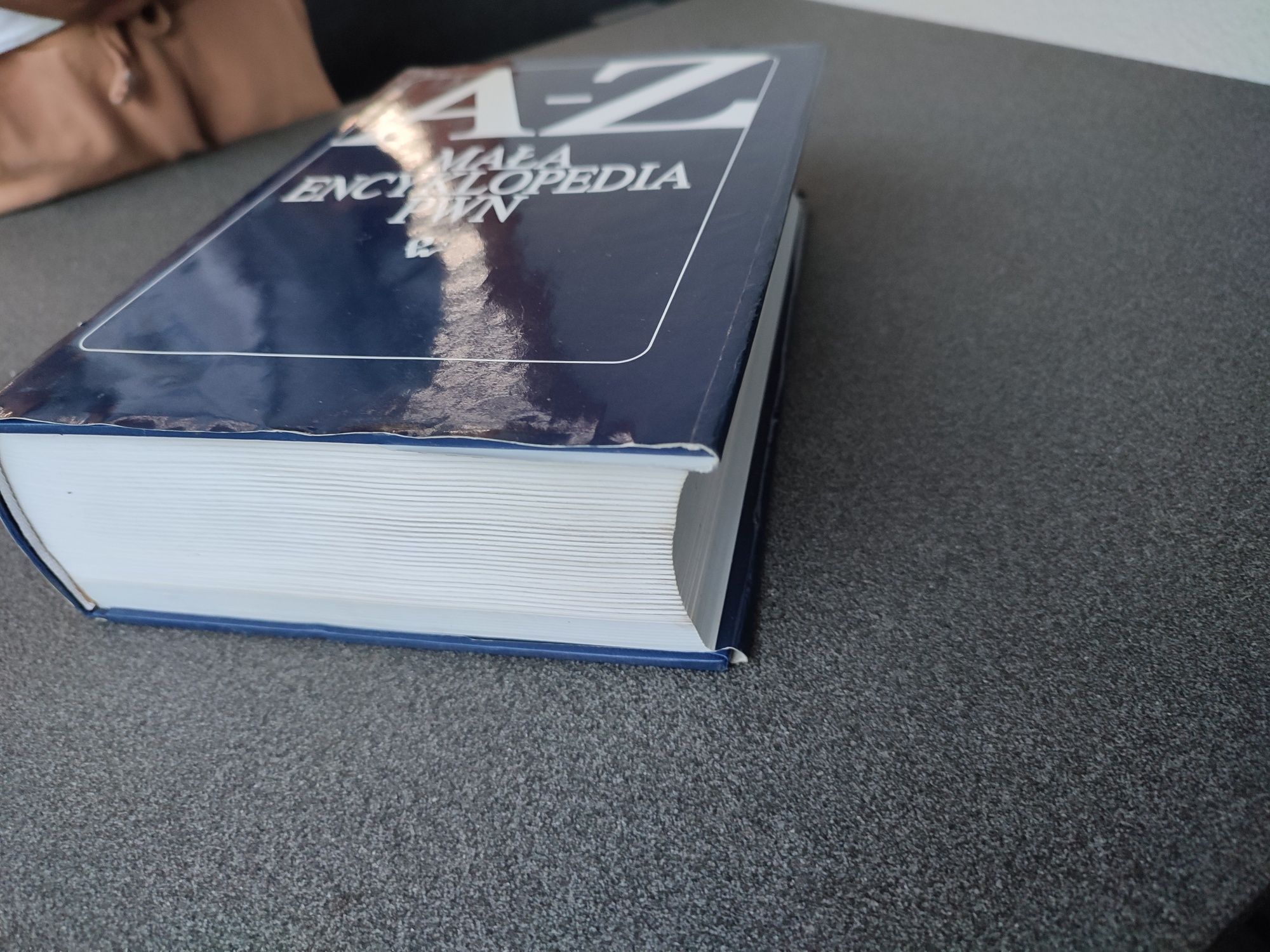 Mała encyklopedia Pwn A-Z