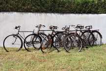 Bicicleta pasteleira Yé-Yé RETRO