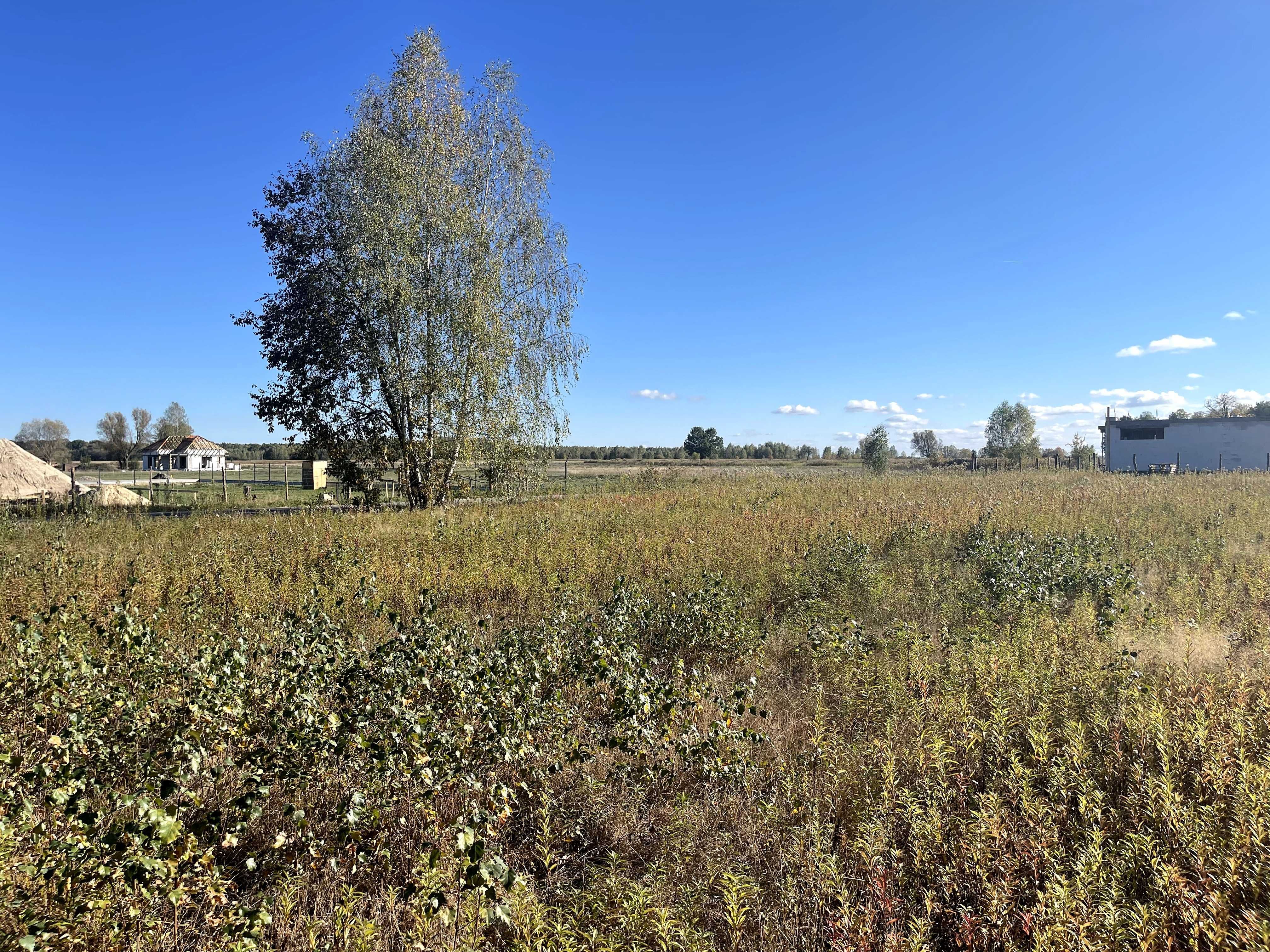 Budowlane, Żabieniec g. Parysów, przy granicy z g. Garwolin i g.Pilawa