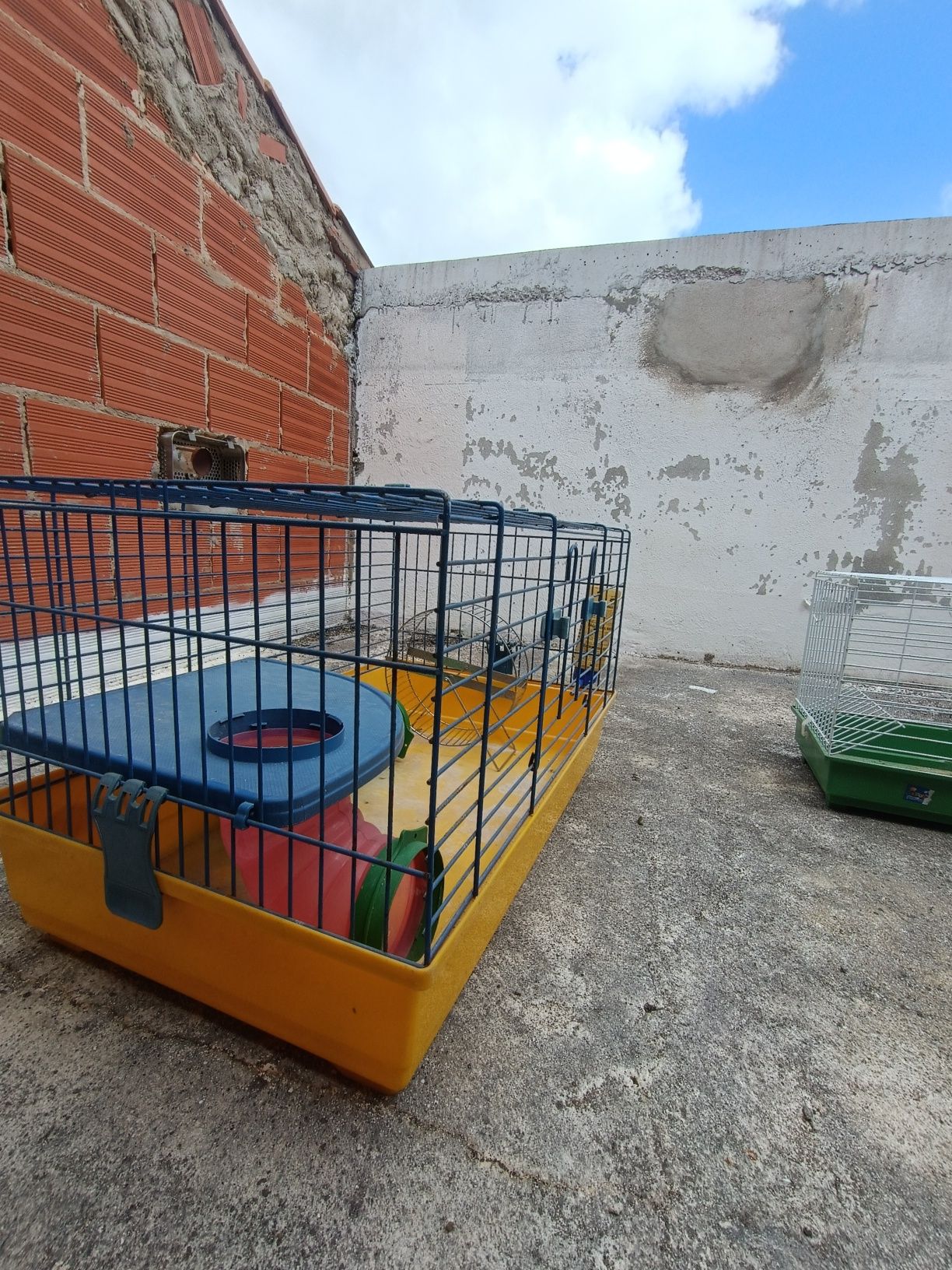 Gaiolas de porquinho da Índia