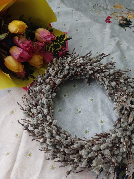 Віночки з вербових котиків Верба баська шутка лоза