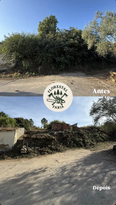 Trabalhos florestais- desbastes- desmatamento- abate de arvores