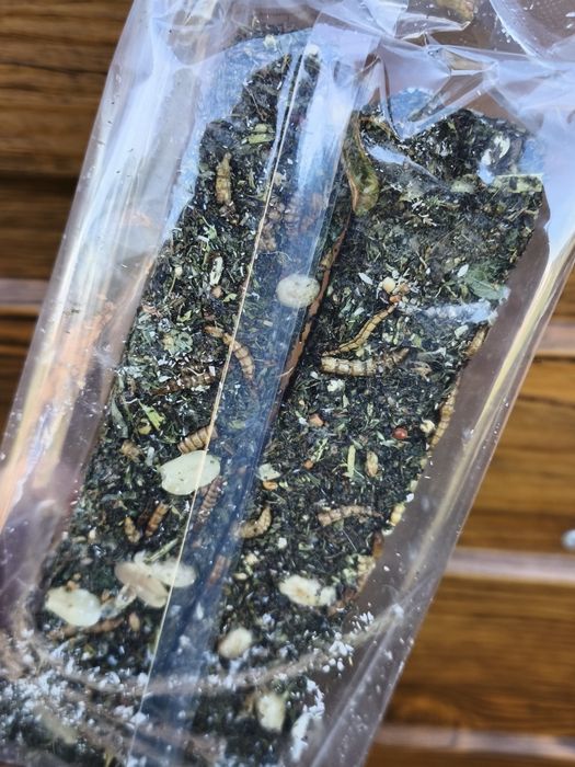 Kolba 2 sztuki dla szczura, myszy, chomika jakość premium,insekty
