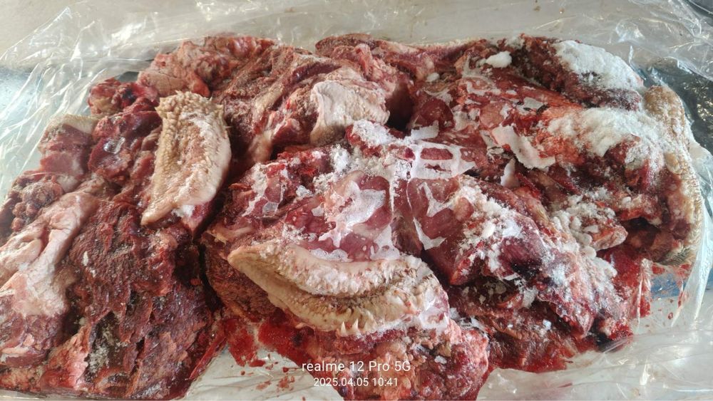 Субпродукти яловичі печінка мʼясообрізь фарш для собак