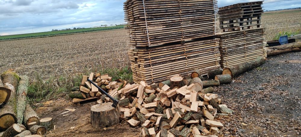 Drewno kominkowe dębowe