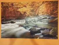 Duży Obraz na płótnie 140x90cm wodospad, las, rzeka, kamienie