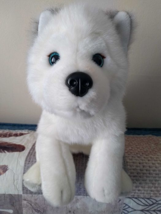 Maskotka pluszowa Pies Husky Lumi Lapland 30 cm