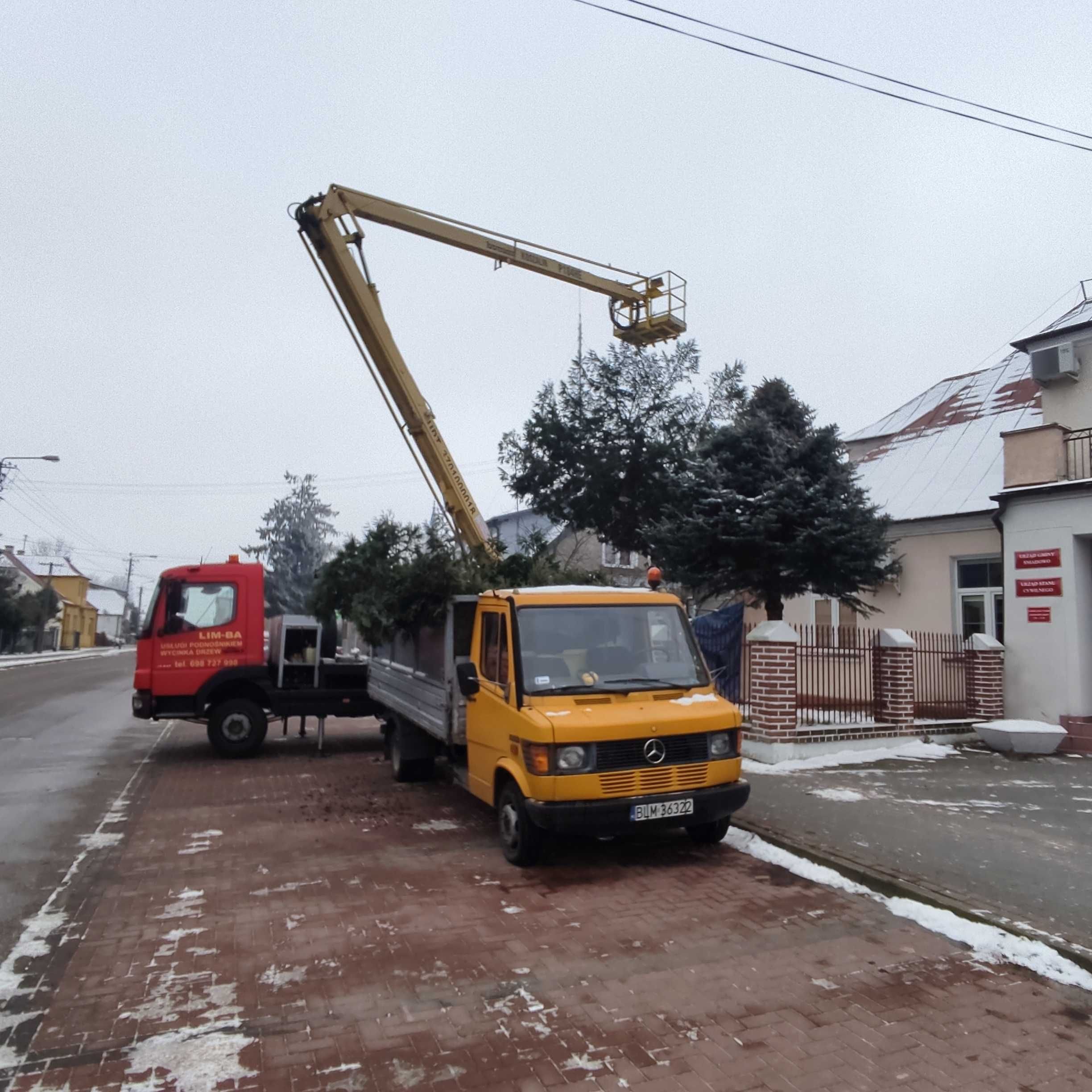 Podnośnik koszowy 30 i 18m.Wycinka drzew.Rębak, frezowanie pni