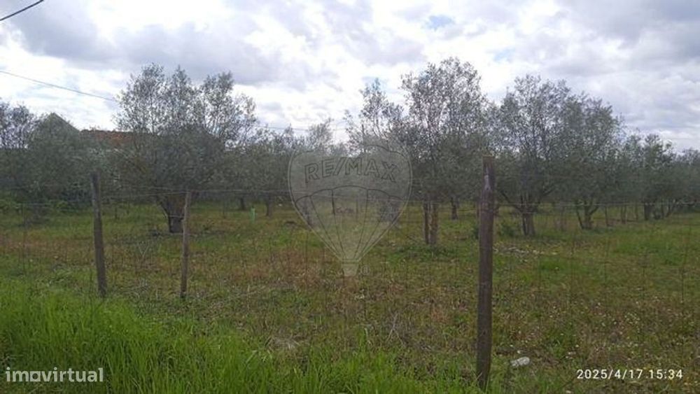 Terreno  para venda