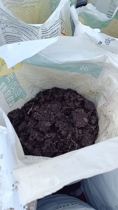 Obornik koński bez słomy