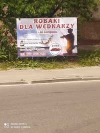 robaki dla wędkarzy kompostu