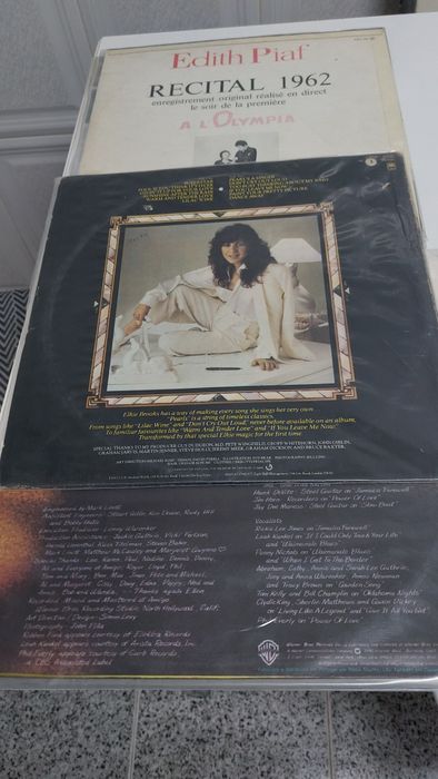 Lote de álbuns de vinil . Todos em muito bom estado de conservação .