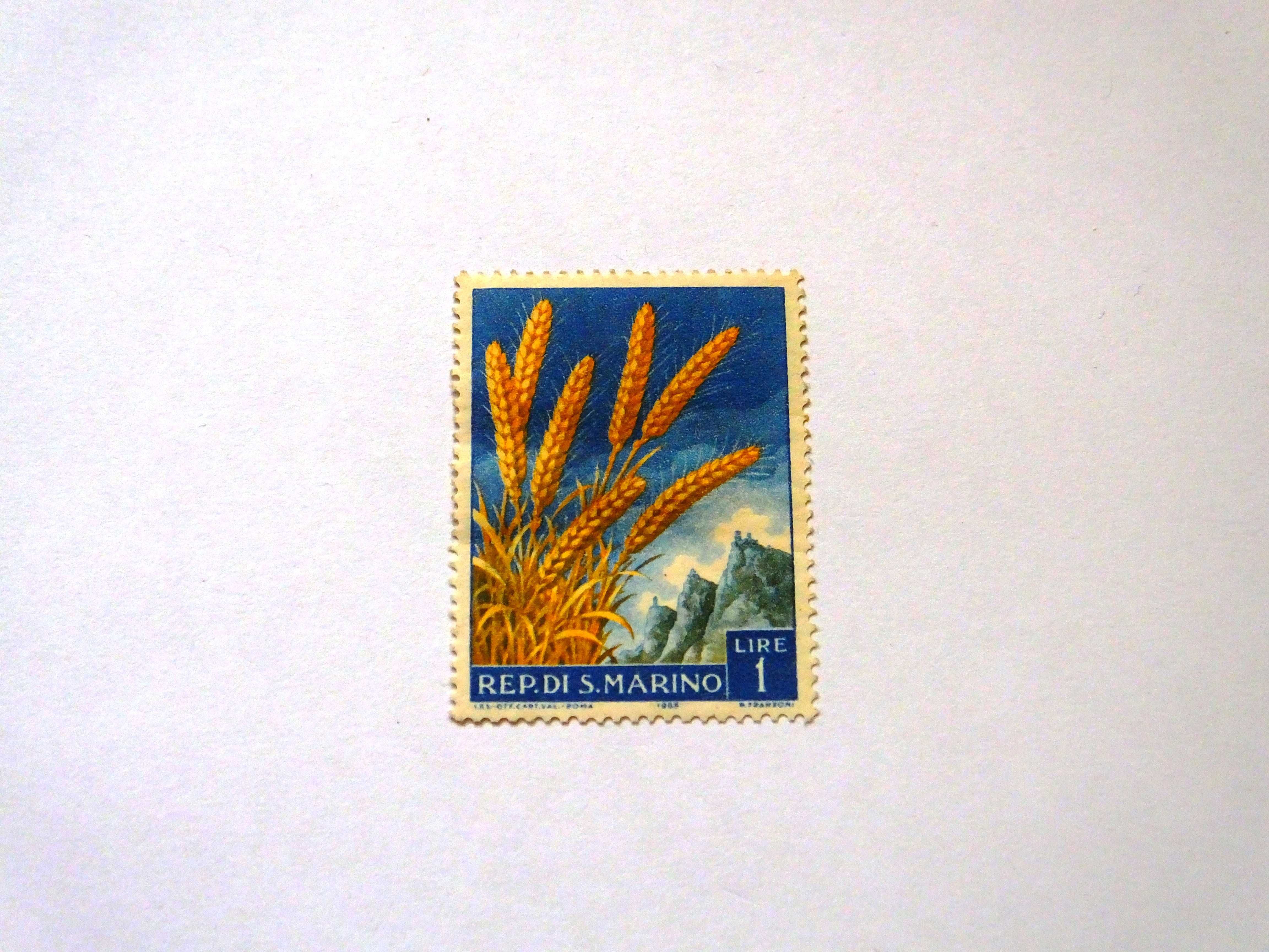 Znaczki San Marino - owoce - 1958