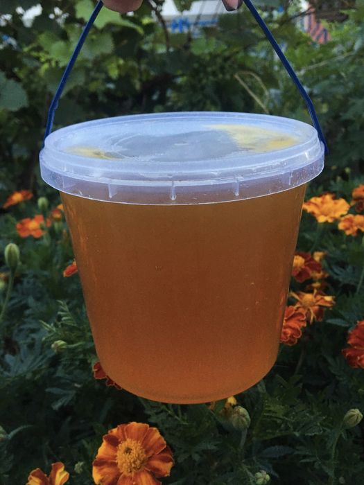 Мед (різнотрав‘я)