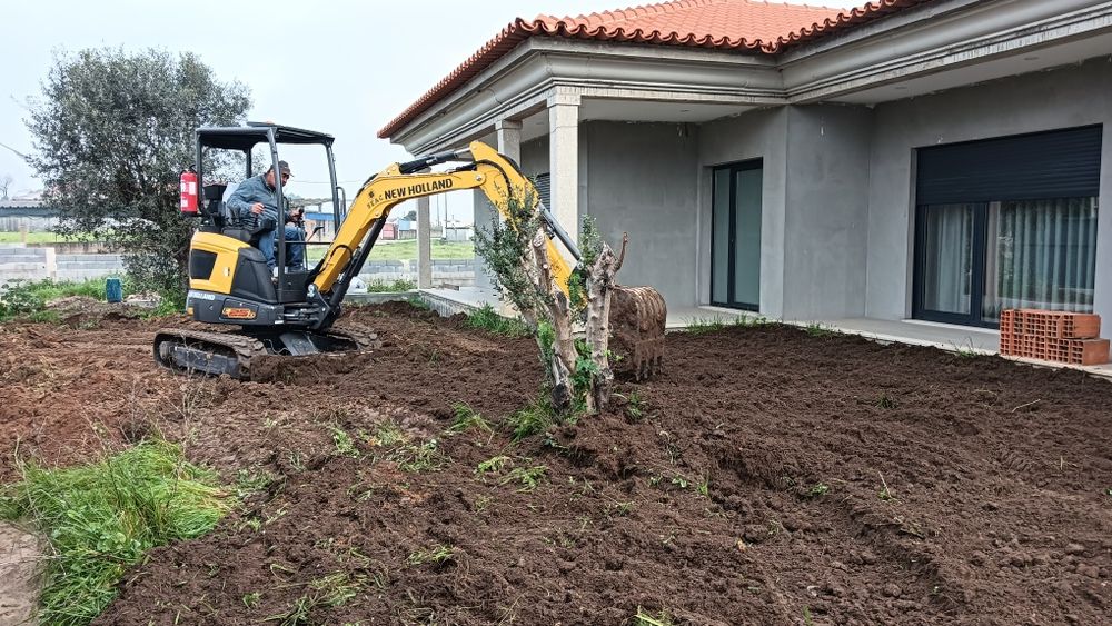 Serviços mini giratória