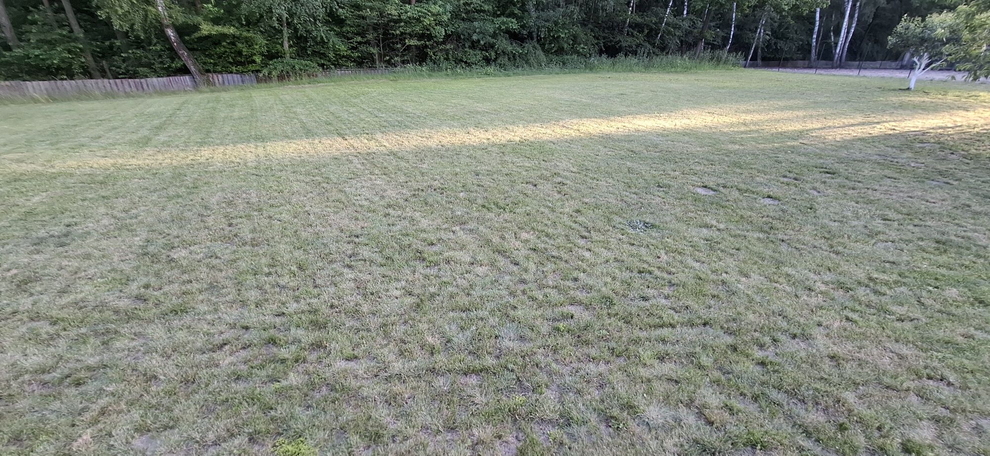 Pielęgnacja ogrodów koszenie trawy
