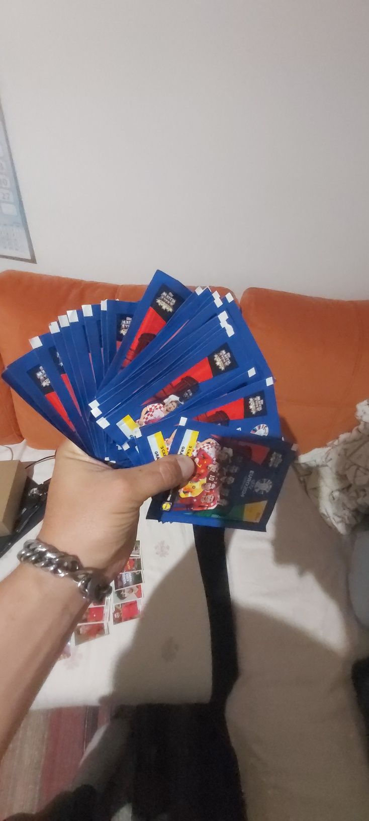 Autocolantes panini
