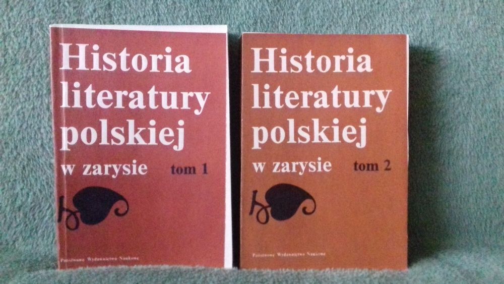 Historia literatury polskiej w zarysie.