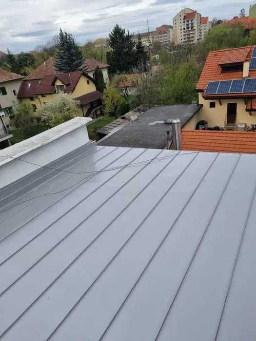 Usługi Dekarskie Kompleksowo- Montaż Dachu, Rynien i Papy oraz Naprawy