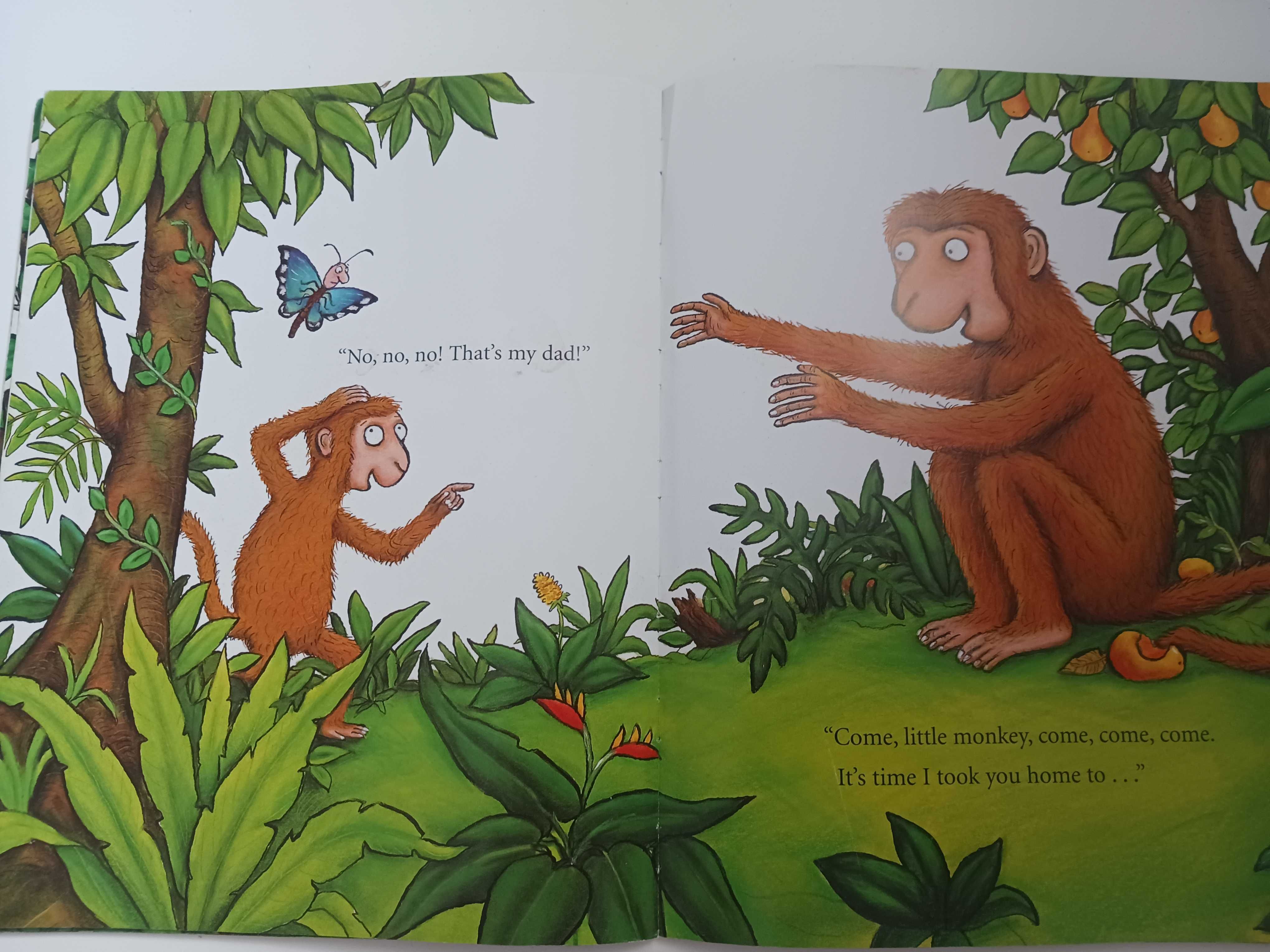 Monkey Puzzle Książka po angielsku Axel Scheffler, Julia Donaldson