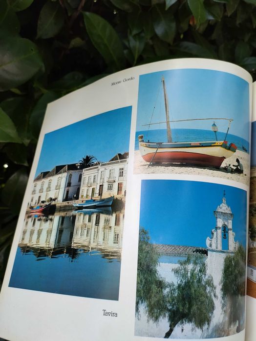 Algarve Profile (Michael Howard)
