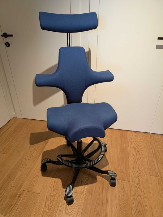 krzesło Hag Capisco