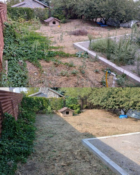 Генеральне прибирання ділянки