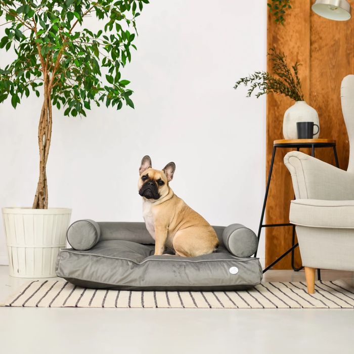 Legowisko dla psa welurowe ekskluzywne glamour szare M Dog’s Dreams