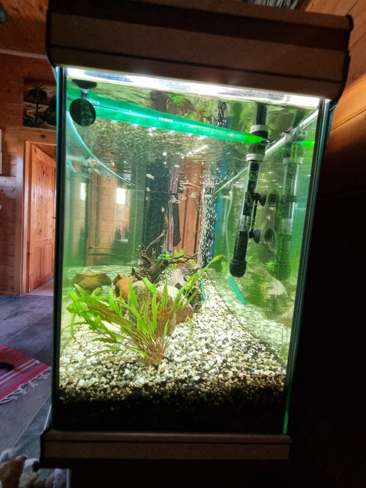 Aquário Aquatlantis 200l + Filtro Externo EHEIM 250