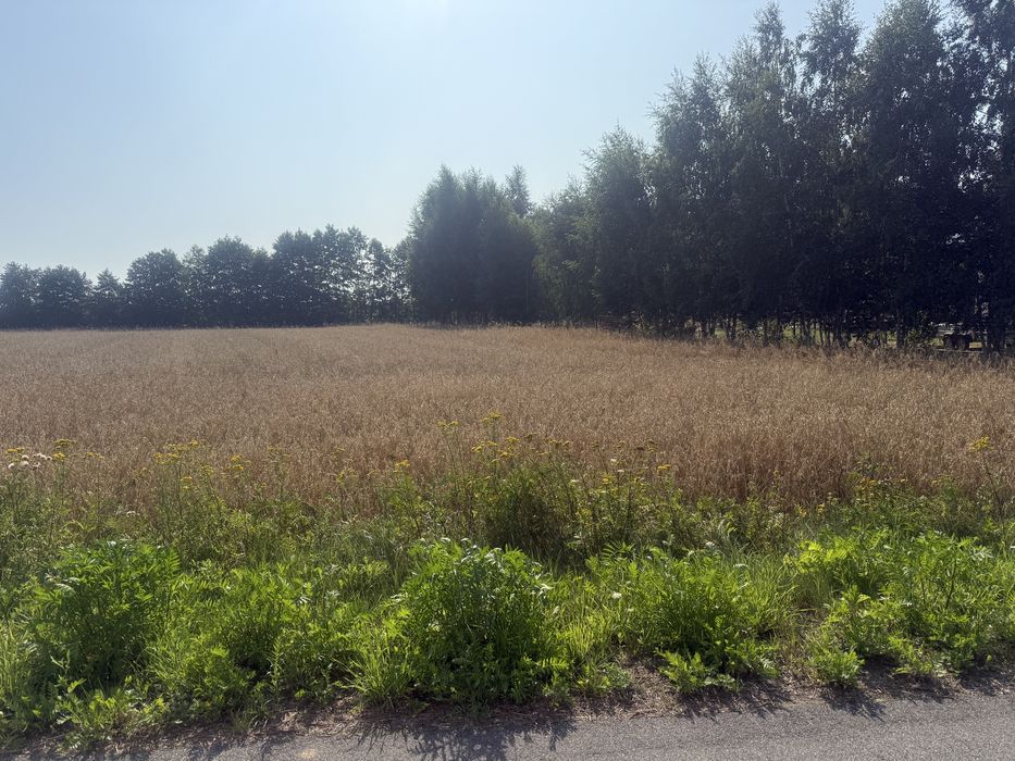 Działka budowlana koło gostynina -kościuszków