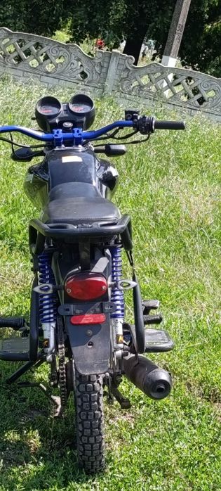 mustang dingo 125