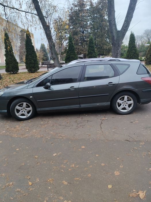 Обміняю пижика розглянув всі варіанти пропонуйте