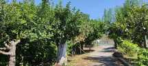 Arrenda-se terreno para cultivo