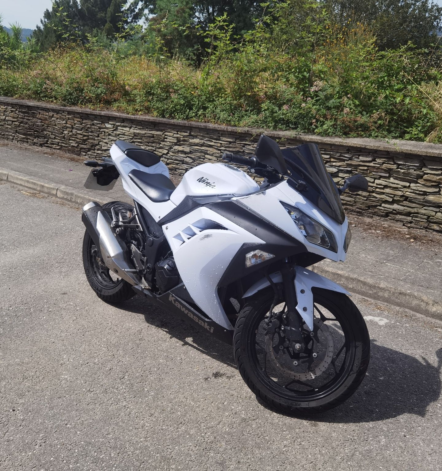 Kawasaki ninja 300