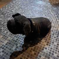 Dekoracyjna figurka psa kiwającego głową - Retro dodatek z PRL