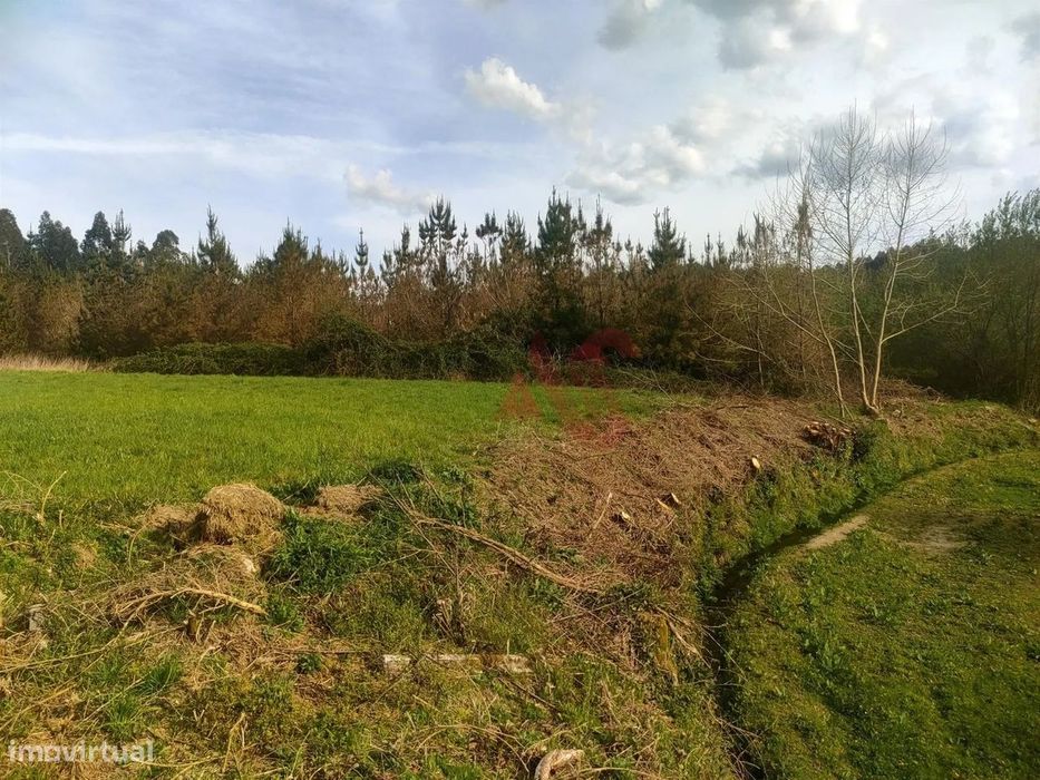 Terreno Rústico com 7.900 m2 em Seidões Fafe