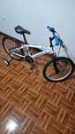 Bicicleta com rodinhas