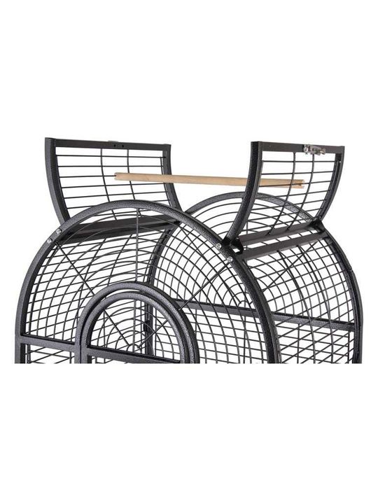 Gaiola Papagaios Haiti