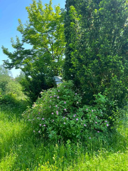 Продам будинок Трускавець