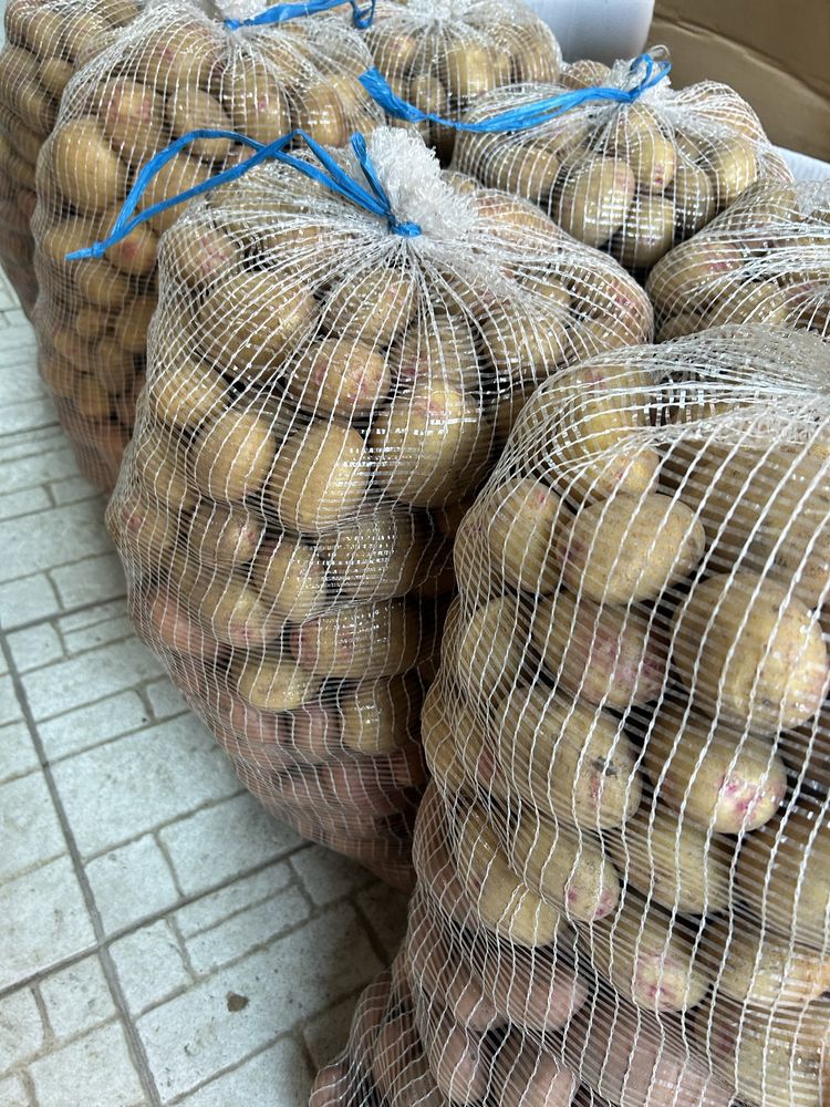 Produtos biologicos