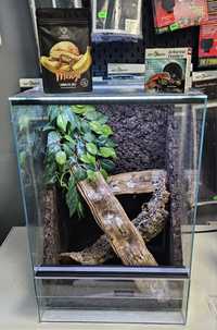 Terrarium + gekon orzęsiony