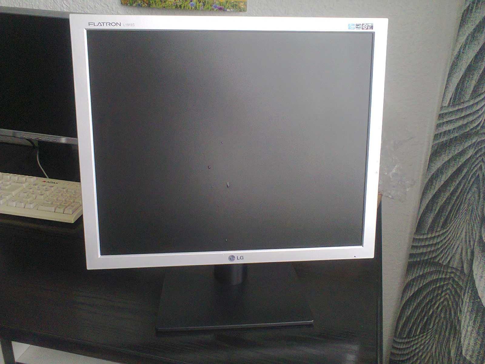 Monitor 19-calowy LG Flatron L1919S