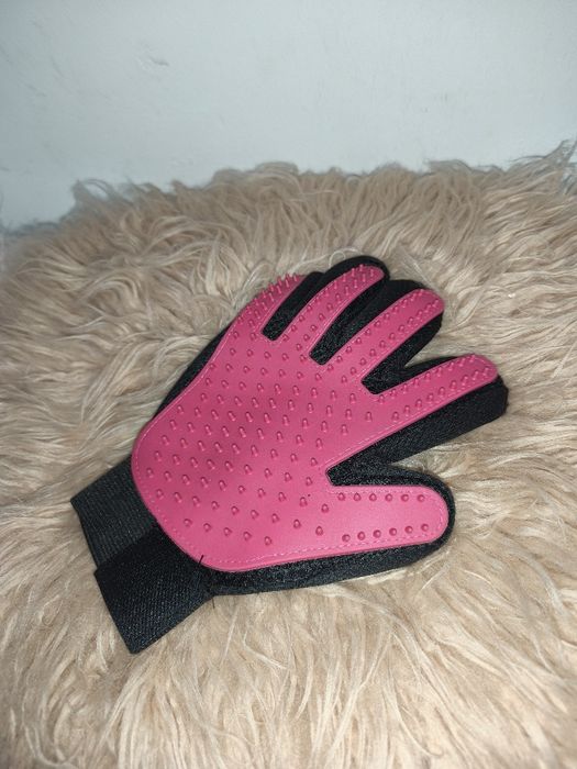 Rękawica do czesania psa