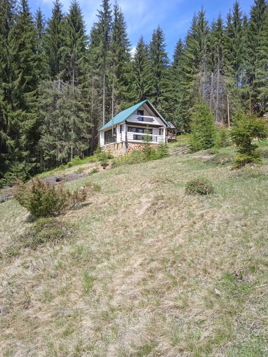 Будинок Ніч в Карпатах