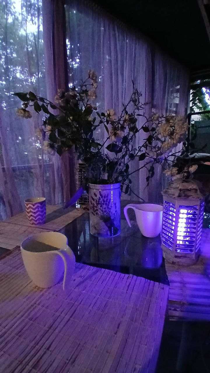 Сдам посуточно дачу у моря