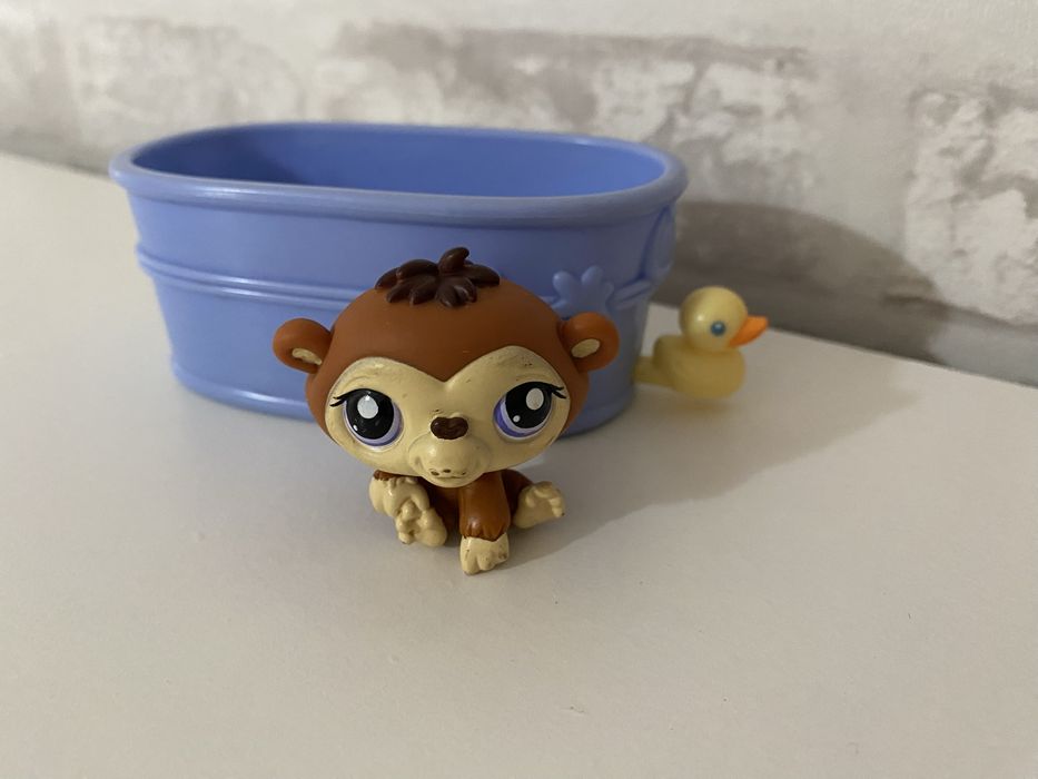 Littlest Pet Shop #1347 or #1510 | Autêntico