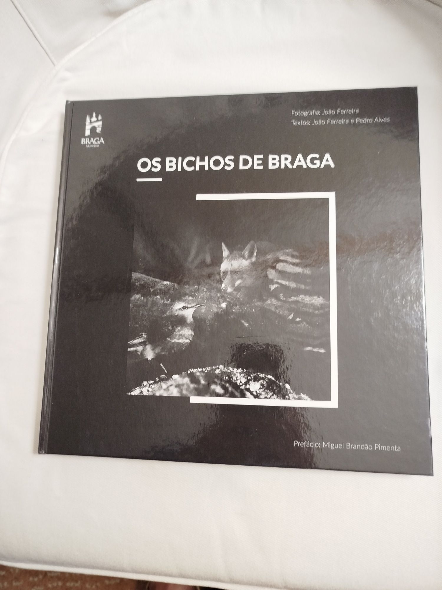 Braga/Os Bichos de Braga#Joao Ferreira e Pedro Alves