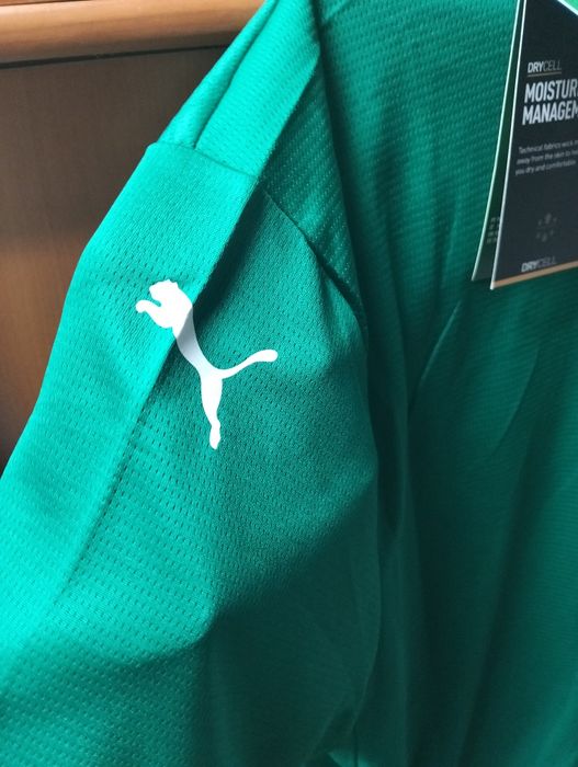 Camisola futebol palmeiras