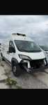 Peugeot Boxer Chlodnia mroźnia