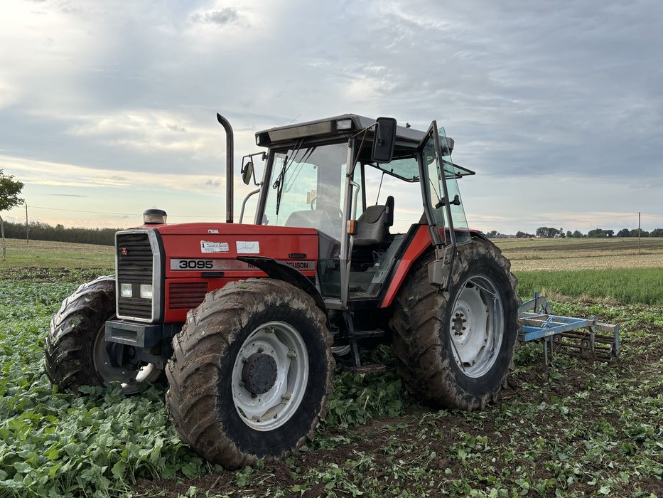 Massey Ferguson 3095 * Sprowadzony * Zarejestrowany * Oryginał *